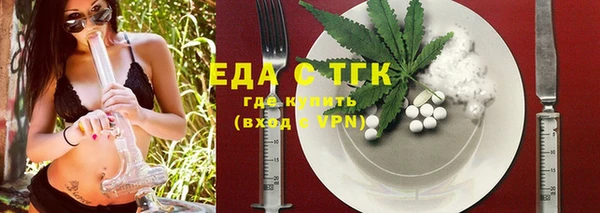 индика Алексин