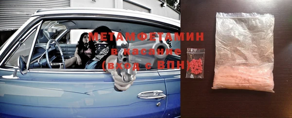 индика Алексин