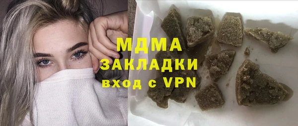 индика Алексин