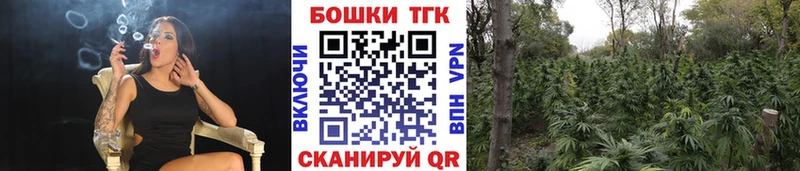 Шишки марихуана THC 21%  Усть-Катав 